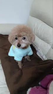 ますこの画像