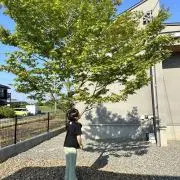 えりの画像