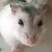 り お