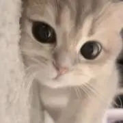 たなかの画像
