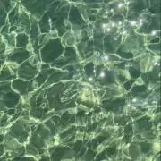 麻の画像