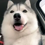 ippei0509の画像