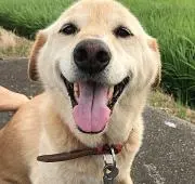 空ママ