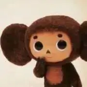 チェブの画像