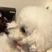 マキおじ