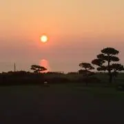 松沢の画像