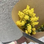 Shiro.の画像