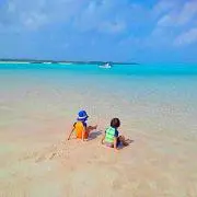 イムミチの画像