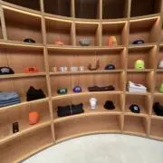 白いハトの画像