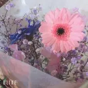 はるまま