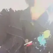 紫音の画像
