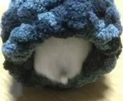 みむー