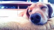 えりの画像