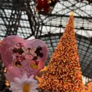 noanoaの画像