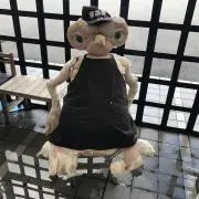 千ちゃん