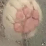 냥♡