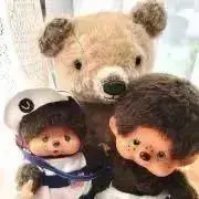 Miyuki  Jr.の画像