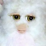 sasakiの画像