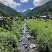 greenの画像