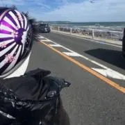 ぴぐれす