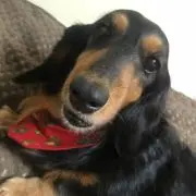 なっちゃん