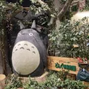 yuの画像