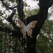 ⭐︎の画像