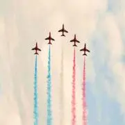 セサミの画像