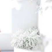MARU.の画像