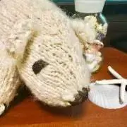 しろくまの画像