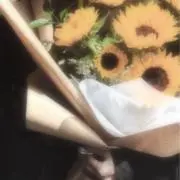 クーの画像