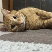 古着マン