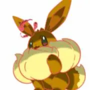 こうちゃん　 即購入可！の画像