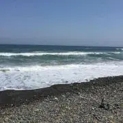 いっちー※プロフィール必読※