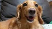 たけちゃん