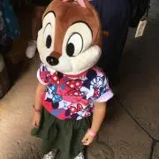 チャバの画像