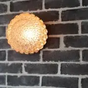 ハムの画像