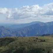 きずの画像