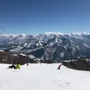 よーの画像