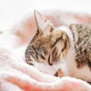 まひろ【プロフィールご確認ください】の画像
