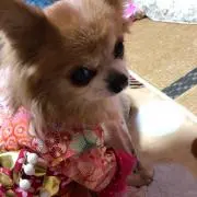ハピパ