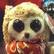 ワルコ総合研究所の画像