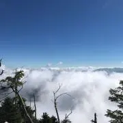 かわたくの画像