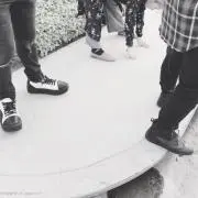 saiの画像