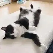ちゃん