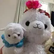 ✰KURARE✰*ᙏ̤̫.*Happy♡の画像