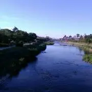 ナツの画像