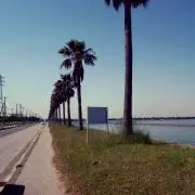 Daiの画像