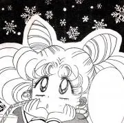 ちーずの画像