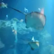 にこの画像